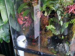 -繁花足道(梅江店)