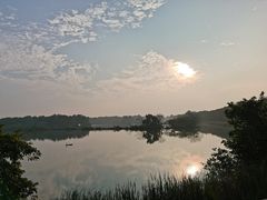 -大湾区中央湿地公园