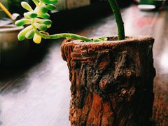-下面馆