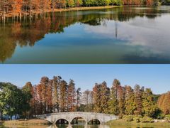 -中国科学院华南植物园