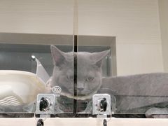 -Pets First伊珊娜洗护·精致美容·家庭式寄养(新会路店)