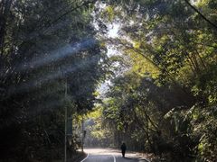 -孔雀湖生态旅游区