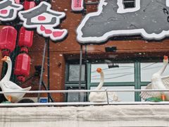 -山河屯铁锅炖(哈西站店)