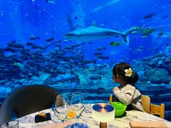 -亚特兰蒂斯•OSSIANO奥西亚诺海底餐厅