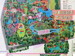 -上海共青森林公园