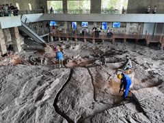 -自贡恐龙博物馆