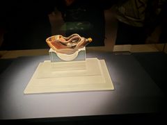 -陕西自然博物馆