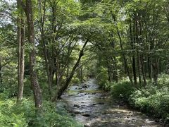 -凤凰山国家森林公园