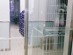 -宠福鑫康馨动物医院·骨科·眼科