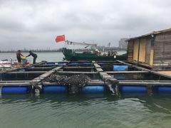-东郊椰林
