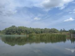 -溱湖国家湿地公园