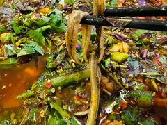 -乐山第一家临江鳝丝(茶坊路店)