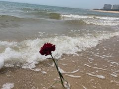 -彩虹沙滩
