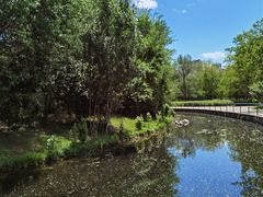 -长白岛森林公园