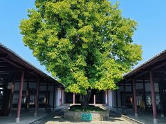 -龙川佗城