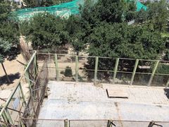 -青藏高原野生动物园