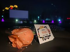 -枫花园汽车电影院(朝阳公园店)