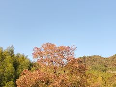 -塔川景区