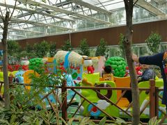 -南宫五洲植物乐园