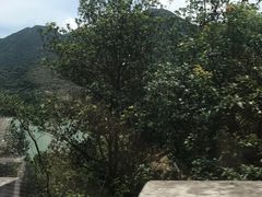 -银瓶嘴森林公园