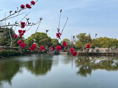 -无锡蠡湖国家湿地公园-蠡园
