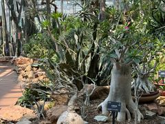 -国家植物园南园