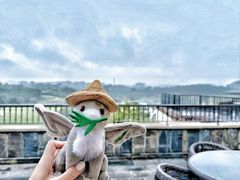 -浙江安吉JW万豪酒店
