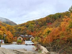 -天女山森林公园