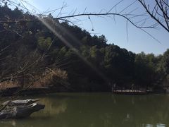 -宝岩生态观光园
