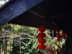 -大唐贡茶院