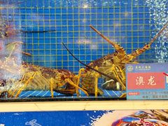 -益利大酒楼(井岸店)