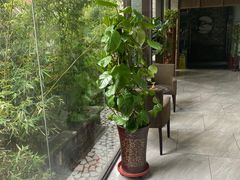 -竹雨堂创意中国菜(裕华店)