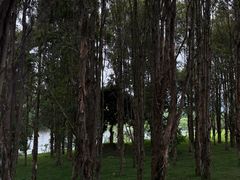 -福建鲤鱼洲酒店