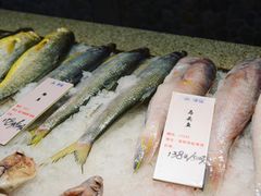 -海中洲渔社