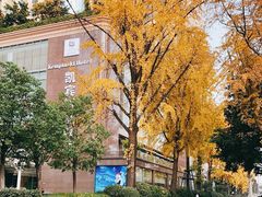 -成都凯宾斯基饭店