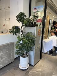 -LJOY丽锦造型·烫发染发