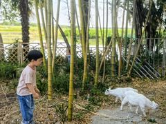 -同里湖度假村(二期店)