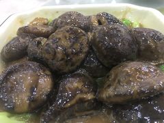 -勒南公舍(龙江店)