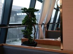 -马家斑.鲜鱼火锅(松湖万科店)