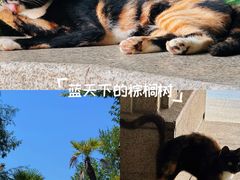 -上海怡沁园度假酒店