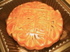 -极斗-IKMF马伽术·格斗运动学院(东直门店)