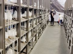 -TheRink大零溜冰场(IFS国金中心店)