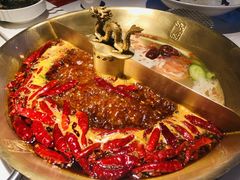 -小龙翻大江文化火锅(宽窄店)