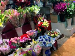 -大自然花鸟鱼虫市场