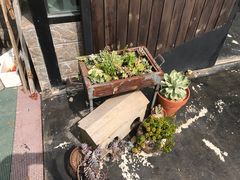 -北马山庄植趣咖啡