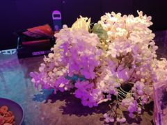 -星聚会KTV(景枫中心店)