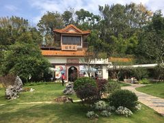-深圳仙湖植物园