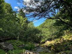 -汤旺河林海奇石景区