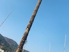 -小皓村