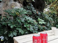 -盛泰恐龙谷温泉